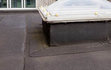 disadvantages of Hilton Of Cadboll flat roofs