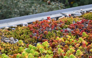 the cost of Hilton Of Cadboll green roof installation