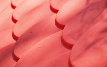 Hilton Of Cadboll plastic roof costs