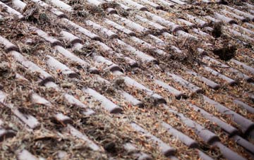 Hilton Of Cadboll roof cleaning companies