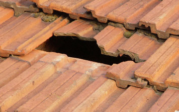 roof repair Hilton Of Cadboll, Highland