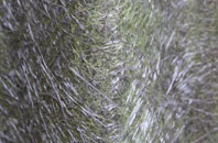 Hilton Of Cadboll fibreglass roof work